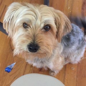 Meet your Posher, Jasenia